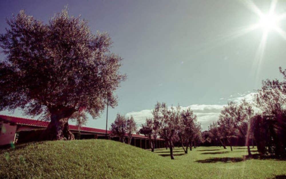 All Ways Garden Hotel & Leisure Roma Eksteriør bilde